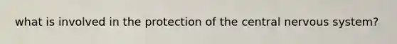 what is involved in the protection of the central nervous system?