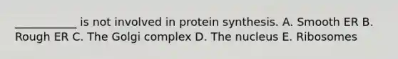 ___________ is not involved in protein synthesis. A. Smooth ER B. Rough ER C. The Golgi complex D. The nucleus E. Ribosomes