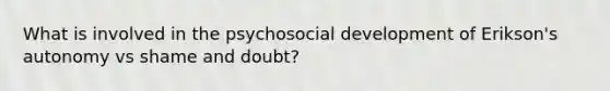 What is involved in the psychosocial development of Erikson's autonomy vs shame and doubt?