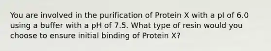 You are involved in the purification of Protein X with a pI of 6.0 using a buffer with a pH of 7.5. What type of resin would you choose to ensure initial binding of Protein X?