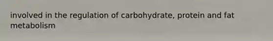 involved in the regulation of carbohydrate, protein and fat metabolism