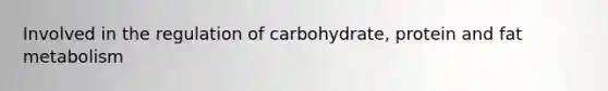 Involved in the regulation of carbohydrate, protein and fat metabolism