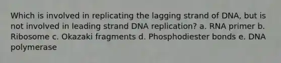 Which is involved in replicating the lagging strand of DNA, but is not involved in leading strand DNA replication? a. RNA primer b. Ribosome c. Okazaki fragments d. Phosphodiester bonds e. DNA polymerase