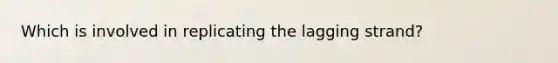 Which is involved in replicating the lagging strand?