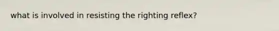 what is involved in resisting the righting reflex?