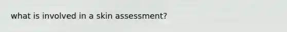 what is involved in a skin assessment?