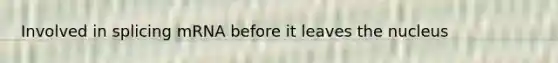 Involved in splicing mRNA before it leaves the nucleus