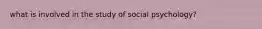 what is involved in the study of social psychology?