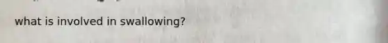 what is involved in swallowing?