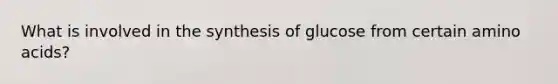 What is involved in the synthesis of glucose from certain amino acids?