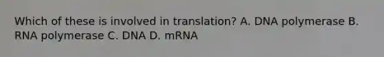 Which of these is involved in translation? A. DNA polymerase B. RNA polymerase C. DNA D. mRNA