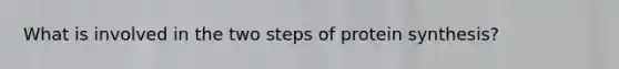 What is involved in the two steps of protein synthesis?