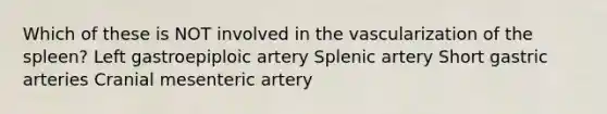 Which of these is NOT involved in the vascularization of the spleen? Left gastroepiploic artery Splenic artery Short gastric arteries Cranial mesenteric artery