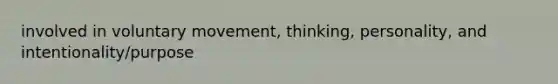 involved in voluntary movement, thinking, personality, and intentionality/purpose