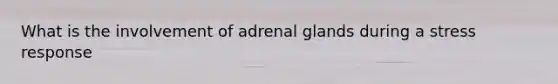 What is the involvement of adrenal glands during a stress response