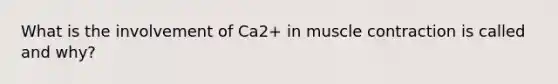 What is the involvement of Ca2+ in muscle contraction is called and why?