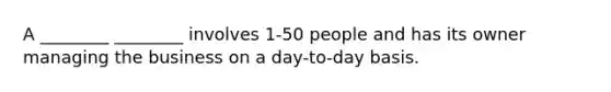 A ________ ________ involves 1-50 people and has its owner managing the business on a day-to-day basis.