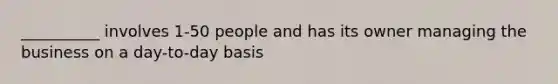 __________ involves 1-50 people and has its owner managing the business on a day-to-day basis