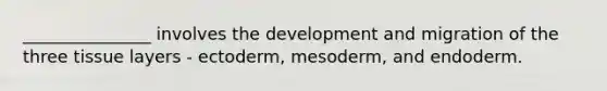 _______________ involves the development and migration of the three tissue layers - ectoderm, mesoderm, and endoderm.