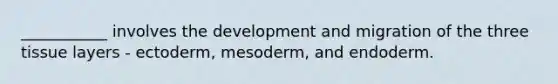 ___________ involves the development and migration of the three tissue layers - ectoderm, mesoderm, and endoderm.