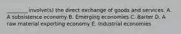 ​________ involve(s) the direct exchange of goods and services. A. A subsistence economy B. Emerging economies C. Barter D. A raw material exporting economy E. Industrial economies