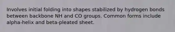 Involves initial folding into shapes stabilized by hydrogen bonds between backbone NH and CO groups. Common forms include alpha-helix and beta-pleated sheet.