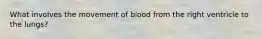 What involves the movement of blood from the right ventricle to the lungs?