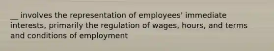 __ involves the representation of employees' immediate interests, primarily the regulation of wages, hours, and terms and conditions of employment