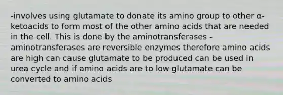 -involves using glutamate to donate its amino group to other α-ketoacids to form most of the other amino acids that are needed in the cell. This is done by the aminotransferases -aminotransferases are reversible enzymes therefore amino acids are high can cause glutamate to be produced can be used in urea cycle and if amino acids are to low glutamate can be converted to amino acids