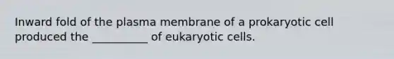 Inward fold of the plasma membrane of a prokaryotic cell produced the __________ of eukaryotic cells.