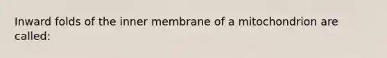 Inward folds of the inner membrane of a mitochondrion are called: