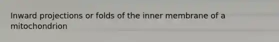 Inward projections or folds of the inner membrane of a mitochondrion
