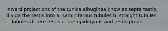 Inward projections of the tunica albuginea know as septa testis, divide the testis into a. seminiferous tubules b. straight tubules c. lobules d. rete testis e. the epididymis and testis proper