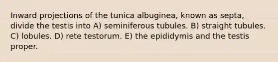 Inward projections of the tunica albuginea, known as septa, divide the testis into A) seminiferous tubules. B) straight tubules. C) lobules. D) rete testorum. E) the epididymis and the testis proper.