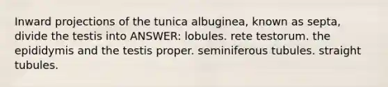 Inward projections of the tunica albuginea, known as septa, divide the testis into ANSWER: lobules. rete testorum. the epididymis and the testis proper. seminiferous tubules. straight tubules.