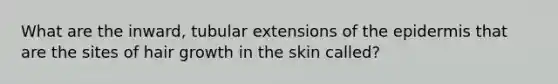 What are the inward, tubular extensions of the epidermis that are the sites of hair growth in the skin called?