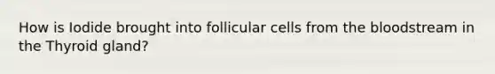 How is Iodide brought into follicular cells from the bloodstream in the Thyroid gland?