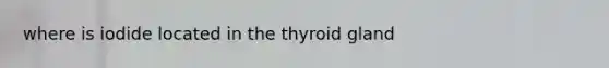 where is iodide located in the thyroid gland