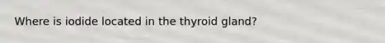 Where is iodide located in the thyroid gland?