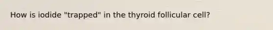 How is iodide "trapped" in the thyroid follicular cell?