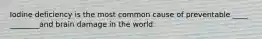 Iodine deficiency is the most common cause of preventable ____ ________and brain damage in the world