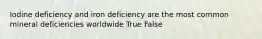 Iodine deficiency and iron deficiency are the most common mineral deficiencies worldwide True False