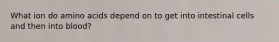 What ion do amino acids depend on to get into intestinal cells and then into blood?