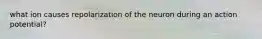 what ion causes repolarization of the neuron during an action potential?
