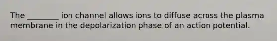 The ________ ion channel allows ions to diffuse across the plasma membrane in the depolarization phase of an action potential.