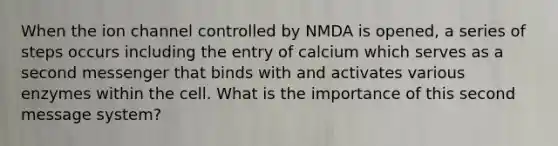 When the ion channel controlled by NMDA is opened, a series of steps occurs including the entry of calcium which serves as a second messenger that binds with and activates various enzymes within the cell. What is the importance of this second message system?