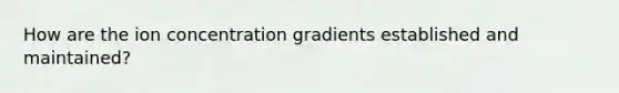 How are the ion concentration gradients established and maintained?