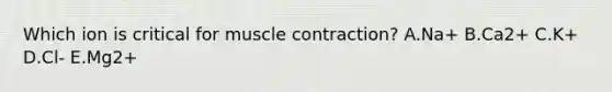 Which ion is critical for muscle contraction? A.Na+ B.Ca2+ C.K+ D.Cl- E.Mg2+