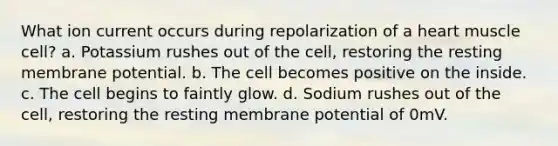 What ion current occurs during repolarization of a heart muscle cell? a. Potassium rushes out of the cell, restoring the resting membrane potential. b. The cell becomes positive on the inside. c. The cell begins to faintly glow. d. Sodium rushes out of the cell, restoring the resting membrane potential of 0mV.