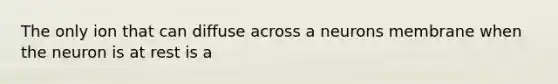The only ion that can diffuse across a neurons membrane when the neuron is at rest is a